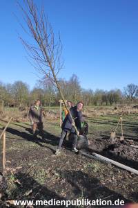 AtzeSchroeder Baum 05022020 046