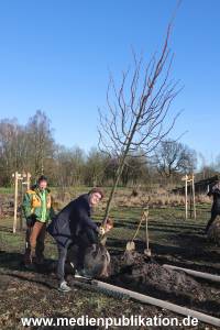 AtzeSchroeder Baum 05022020 055