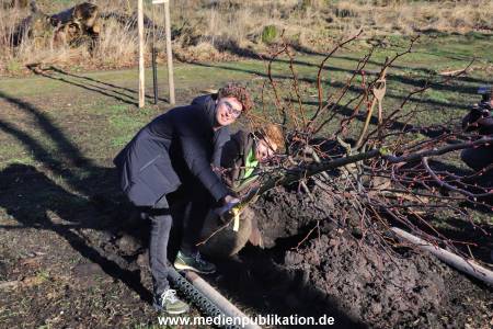AtzeSchroeder Baum 05022020 067