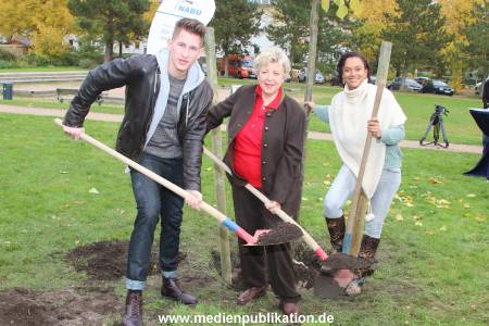 Lindenstrasse 23102015 067