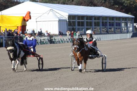 Bahrenfeld 16102011 060