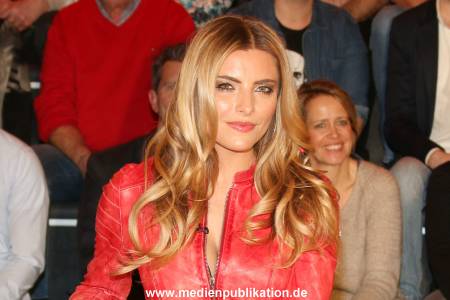 Lanz Sendung2 21012015 044
