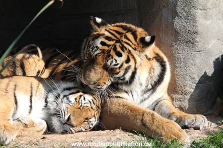 Hagenbeck 26092016 022