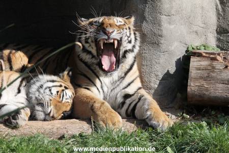 Hagenbeck 26092016 039