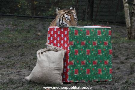 Hagenbeck 05122017 001