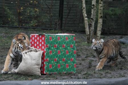 Hagenbeck 05122017 002