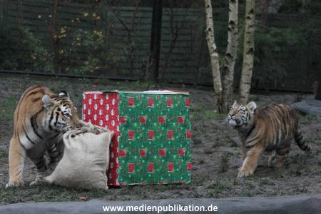 Hagenbeck 05122017 003