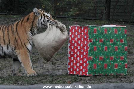 Hagenbeck 05122017 004