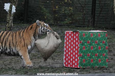 Hagenbeck 05122017 005