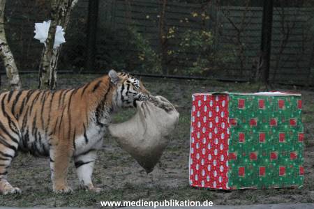 Hagenbeck 05122017 006