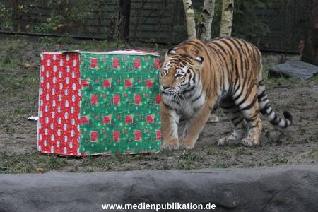Hagenbeck 05122017 009
