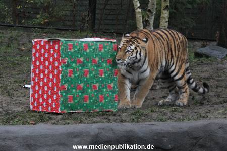 Hagenbeck 05122017 010