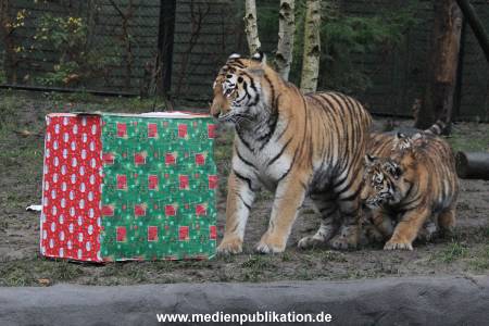 Hagenbeck 05122017 011