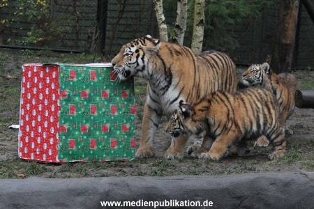 Hagenbeck 05122017 012