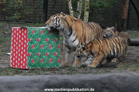 Hagenbeck 05122017 013