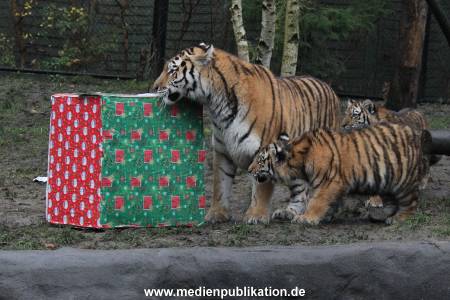 Hagenbeck 05122017 014
