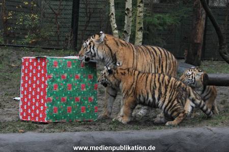 Hagenbeck 05122017 015
