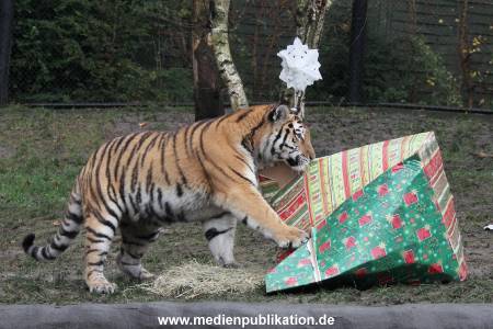 Hagenbeck 05122017 019