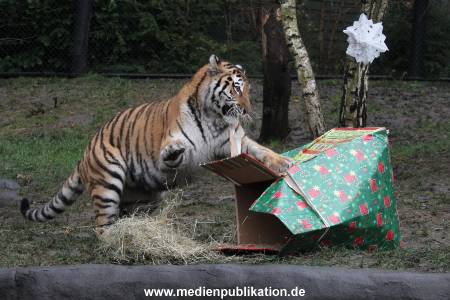 Hagenbeck 05122017 020