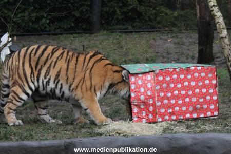 Hagenbeck 05122017 021