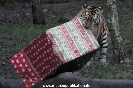 Hagenbeck 05122017 025
