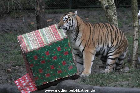 Hagenbeck 05122017 026