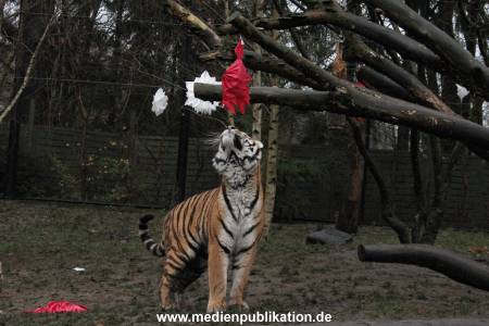 Hagenbeck 05122017 027