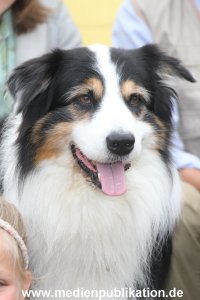 Fuenf Freunde 24082012 077