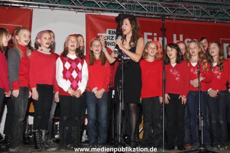 Basthorst 28112008 085