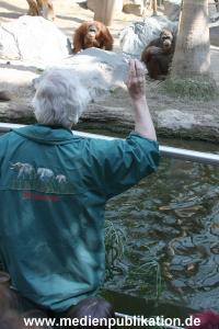 Hagenbeck Carlo 13052008 010