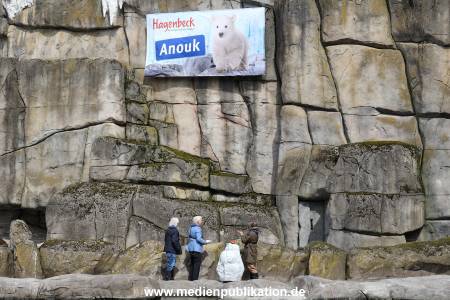 HagenbeckEisbär 07082023 028