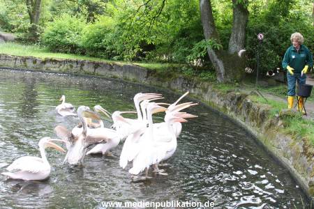 Lilo Wanders Hagenbeck 19052008 005