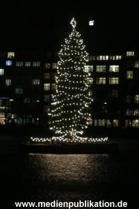 Weihnachtsbaum 25112009 017