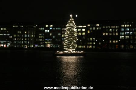 Weihnachtsbaum 25112009 019