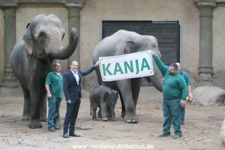 Hagenbeck Wendt 29012016 005