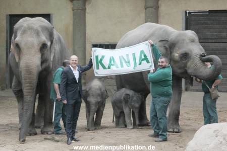 Hagenbeck Wendt 29012016 070