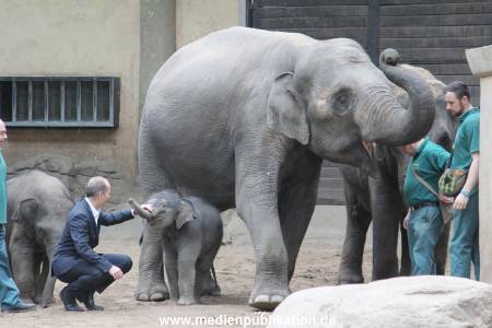 Hagenbeck Wendt 29012016 074