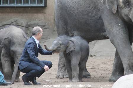 Hagenbeck Wendt 29012016 075