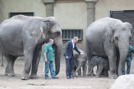 Hagenbeck Wendt 29012016 076