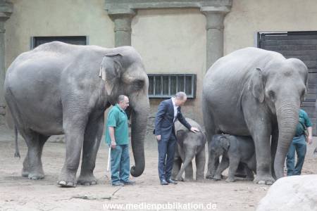 Hagenbeck Wendt 29012016 077