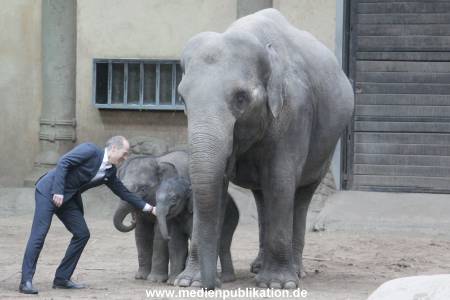 Hagenbeck Wendt 29012016 080