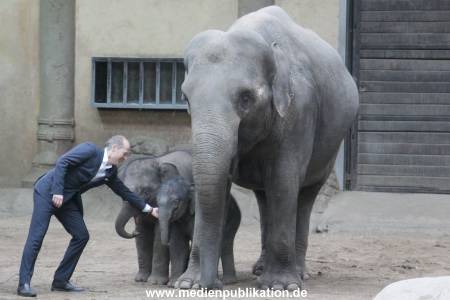 Hagenbeck Wendt 29012016 081