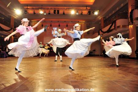 Wiener Ball 25022012 020