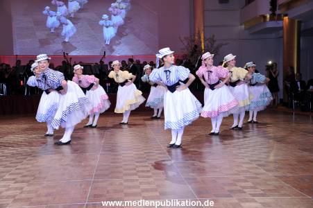 Wiener Ball 25022012 031