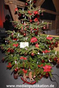 Basthorst 24112010 005