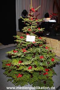 Basthorst 24112010 006