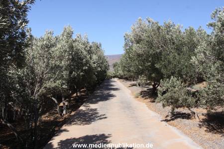 Gran Canaria 2013 027