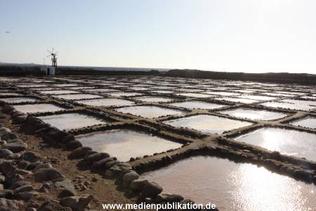 Gran Canaria 2013 006