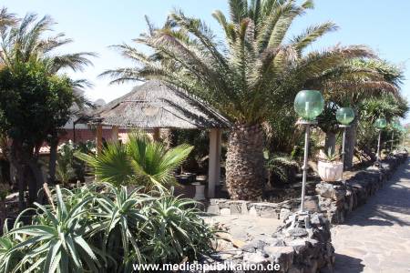Gran Canaria 2013 025