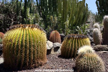 Palmitos Park GC2013 052